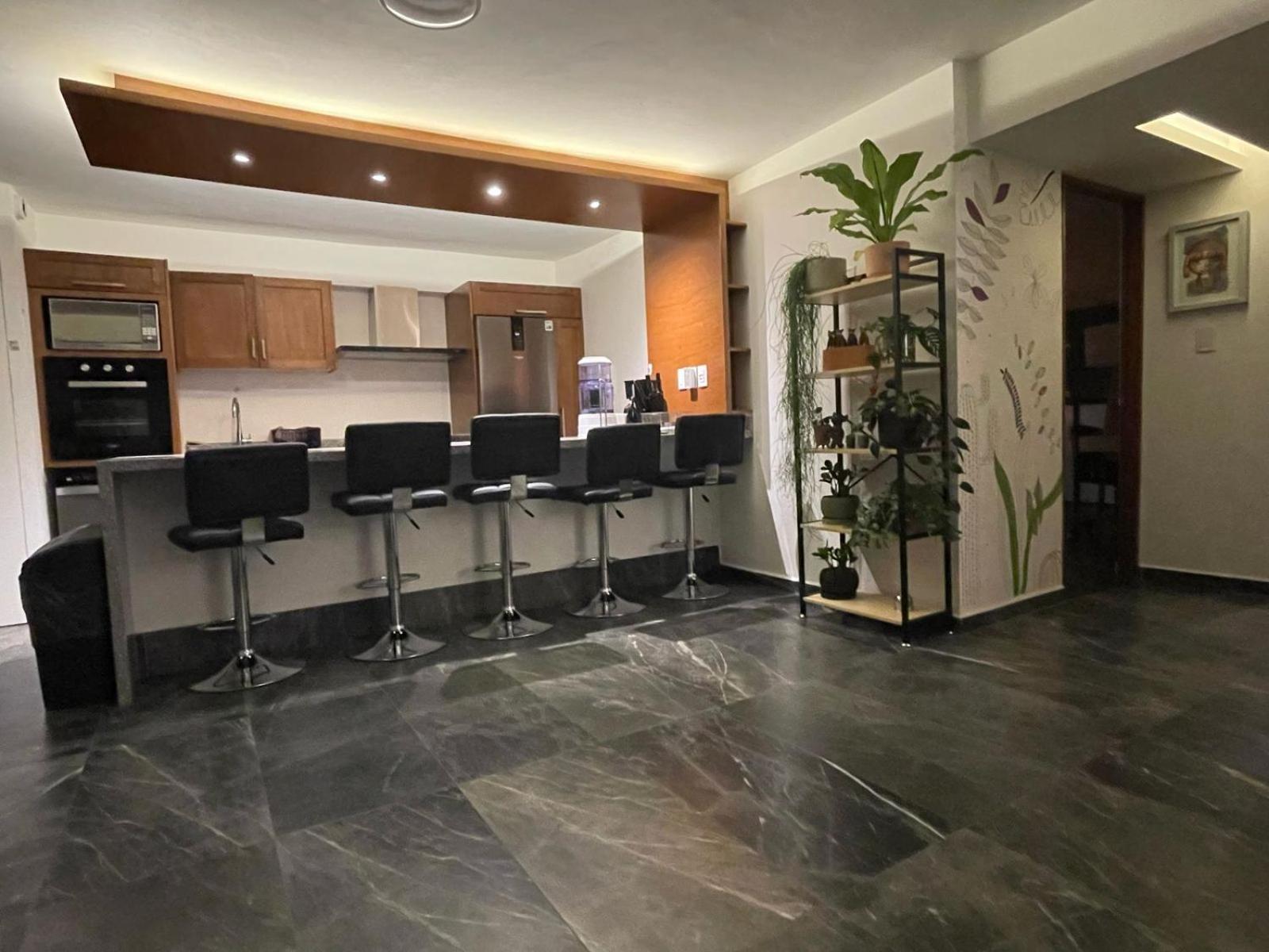 Great Apartment In The Heart Of Coyoacan Mexico Extérieur photo