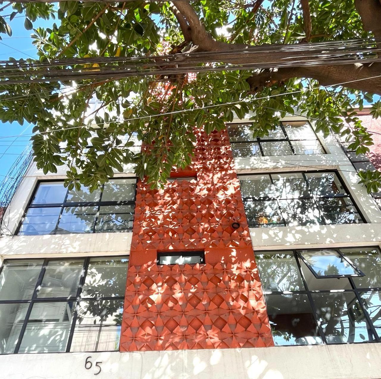 Great Apartment In The Heart Of Coyoacan Mexico Extérieur photo